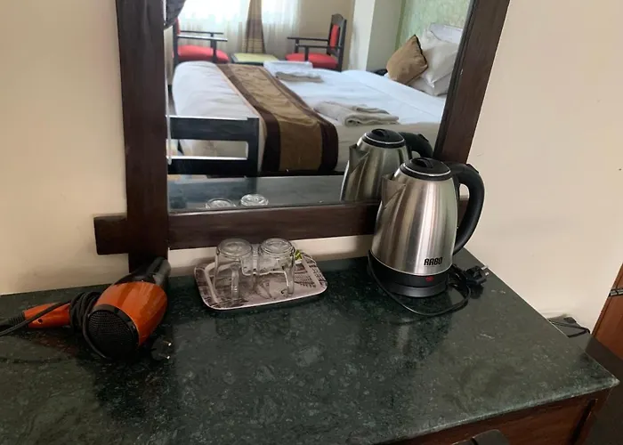 Hotel Alpine & 3*